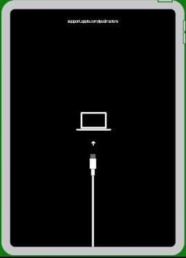 Put the iPad into recovery mode